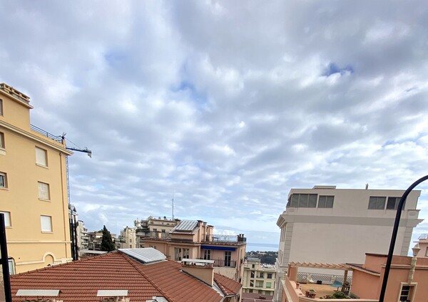 In a tiny lovely Bourgeois style building, large 1 bedroom apartment fully refurnished - 2