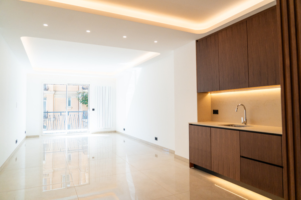 2 bedroom refurbished apartment, central - 2