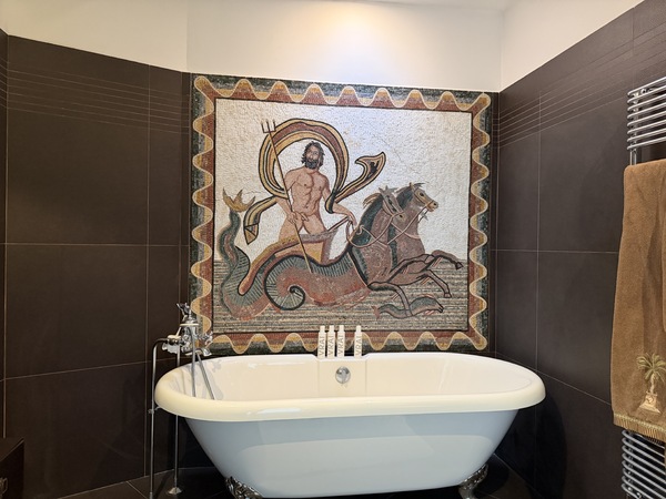 Villa Ristrutturata con Giardino, Piscina Riscaldata e Garage per 4 Auto - 15