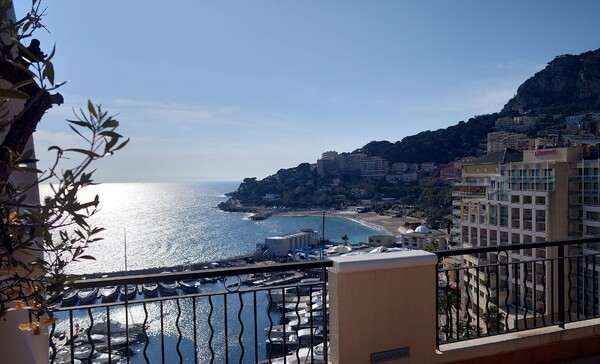 Incroyable penthouse avec piscine privative dans une prestigieuse résidence de Fontvieille - 5